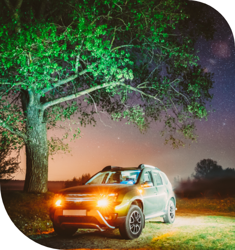 milky-way-galaxy-in-night-starry-sky-above-tree-in-2023-11-27-04-49-52-utc